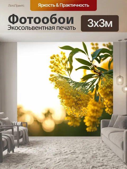 Фотообои мимоза, распустившаяся в ранних утренних лучах солнца, нежно колышется на ветру