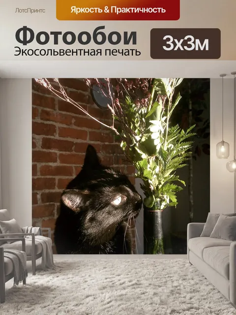 Фотообои Кошка