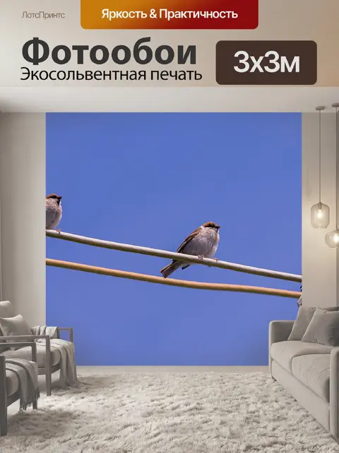 Фотообои Птицы