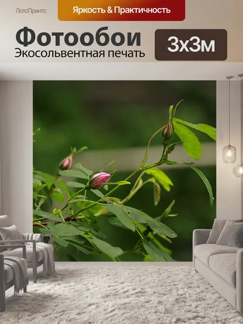 Фотообои Бутон