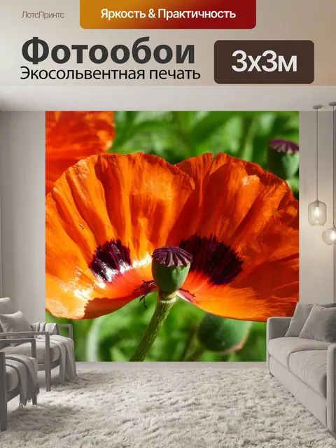 Фотообои Цветы