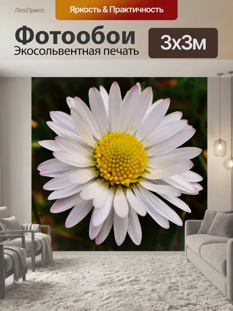 Фотообои Весенний луг