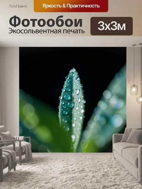 Фотообои Зеленый лист с каплями росы
