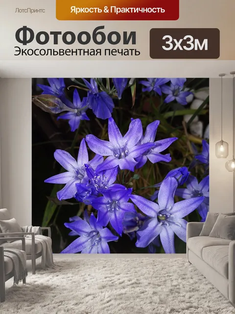 Фотообои Цветы