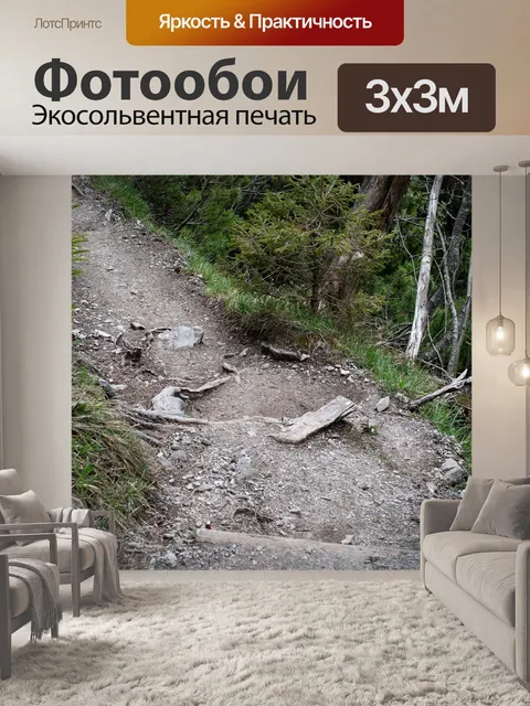 Фотообои Дорожка