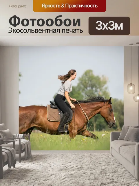 Фотообои Лошадь