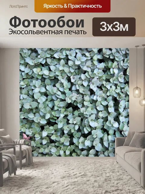 Фотообои плотная размашистые