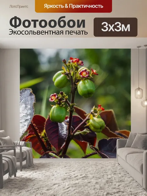Фотообои Дерево