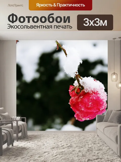 Фотообои Роза