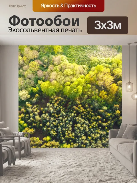 Фотообои Вид с воздуха на вершинах деревьев