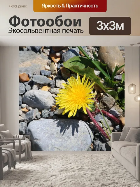 Фотообои Одуванчик