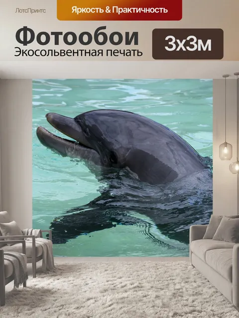 Фотообои дельфин