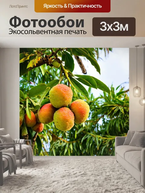 Фотообои тропические деревья с личи и манго, деревья, плоды которых свисают, создавая картину изобилия и здоровья