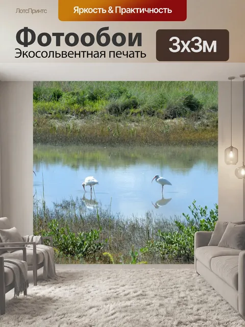 Фотообои Ibis Птицы