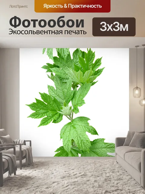 Фотообои Листья