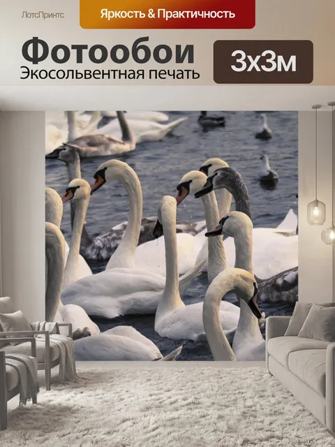 Фотообои Лебеди