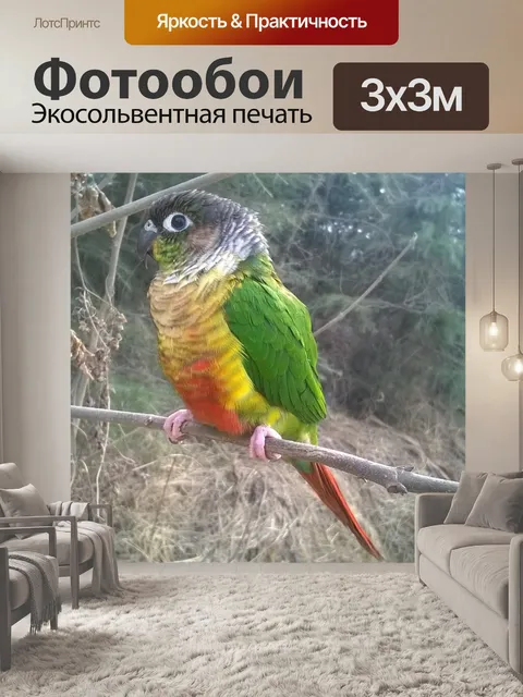 Фотообои Птица