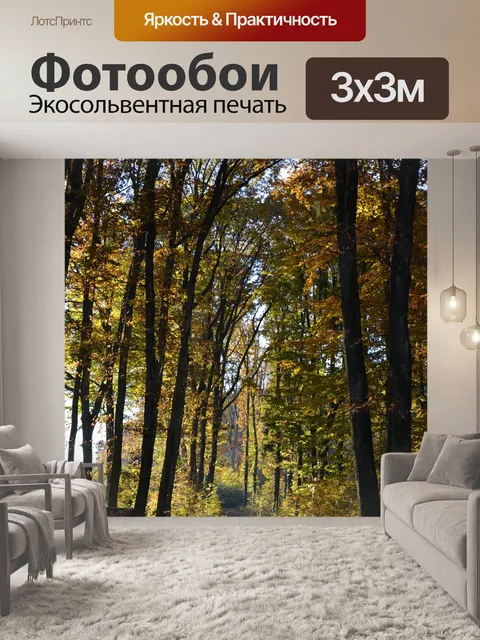 Фотообои Лес
