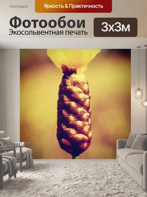 Фотообои Красивый цветок