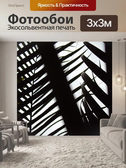 Фотообои Черный пальмовыми листьями