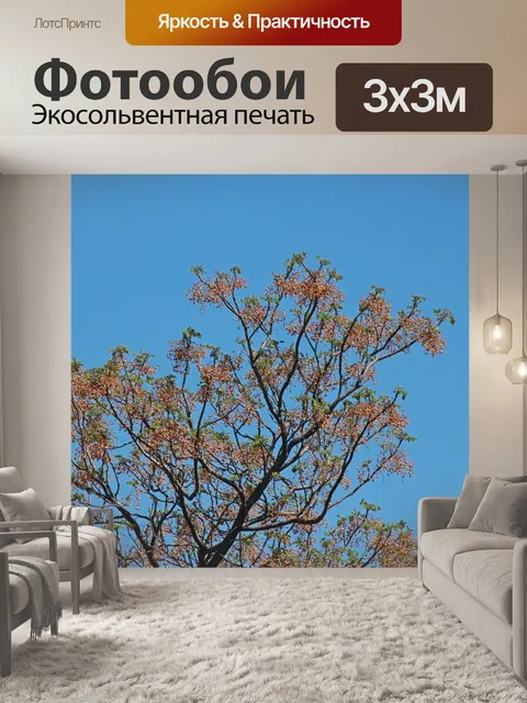Фотообои семена на дереве шприцев