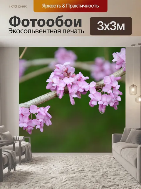 Фотообои Китайские красные бутоны