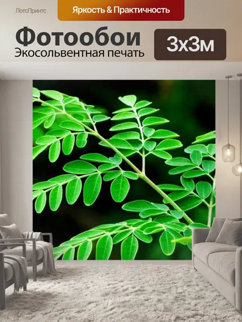 Фотообои Покинуть