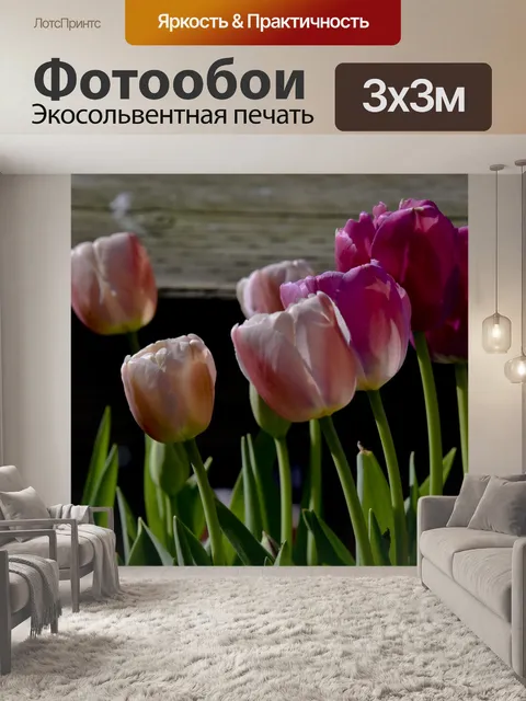 Фотообои Розовые тюльпаны