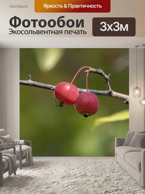 Фотообои Осень