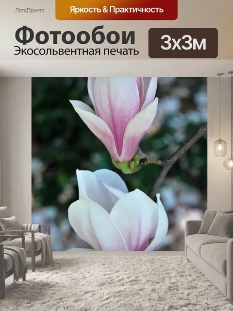 Фотообои Магнолии