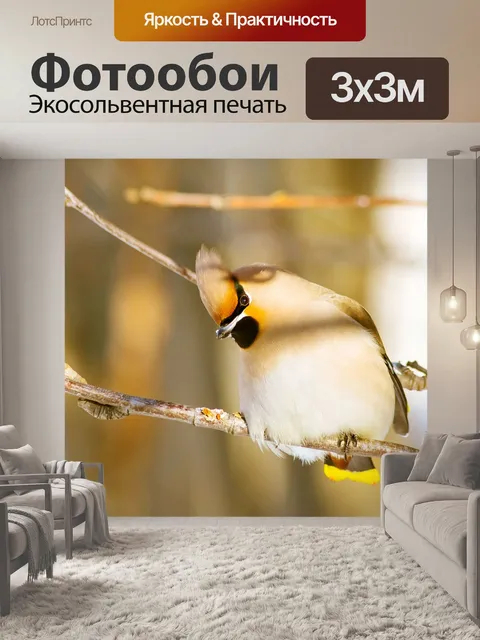 Фотообои Зима