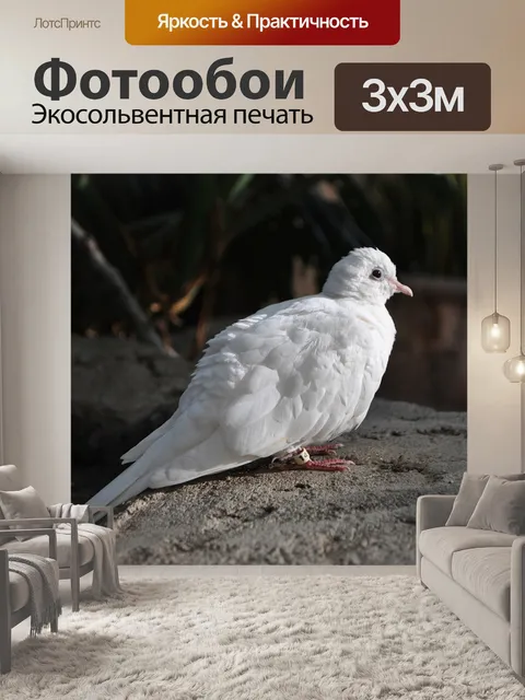 Фотообои Птица