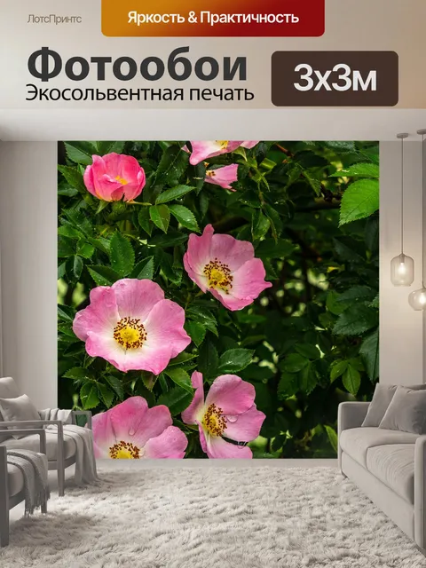 Фотообои Розы