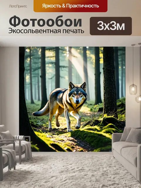 Фотообои с волком, который пробирается через густой, таинственный лес, с утренним туманом и лучами солнца…