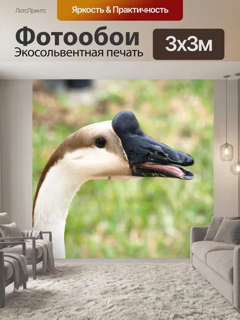 Фотообои Гусь