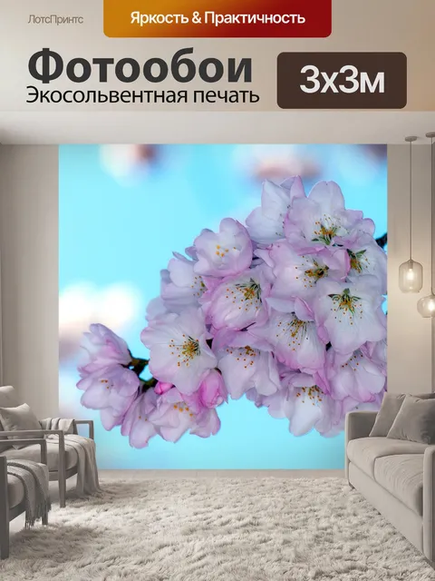 Фотообои Сакура