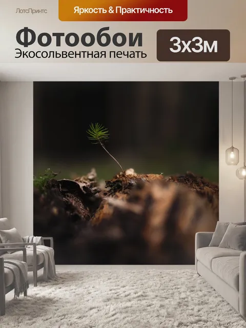 Фотообои Лес