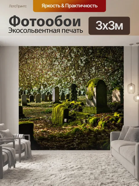 Фотообои забытое кладбище в старом петербурге