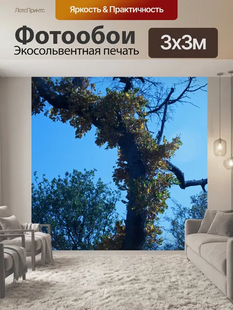 Фотообои осенние листья на дереве на стволе