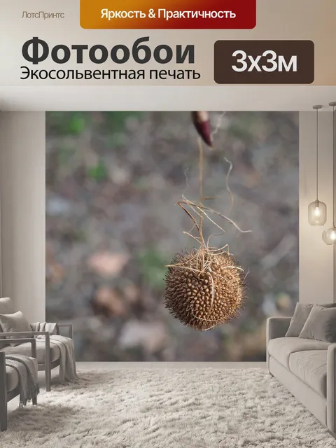 Фотообои Дерево