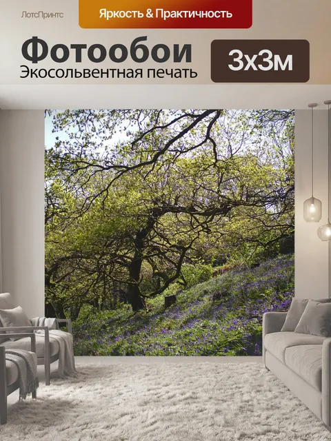 Фотообои Деревья