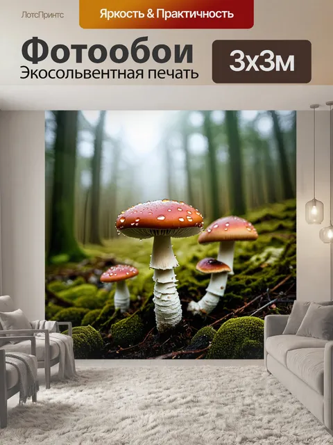 Фотообои композиция из различных мухоморов на фоне густого леса