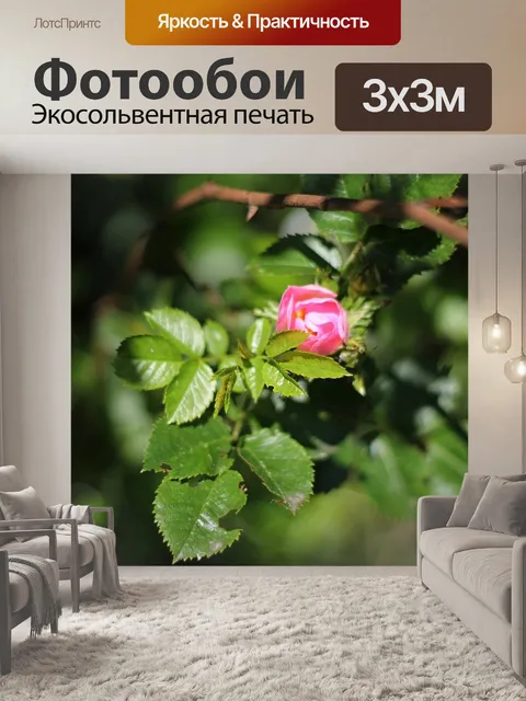Фотообои Розы