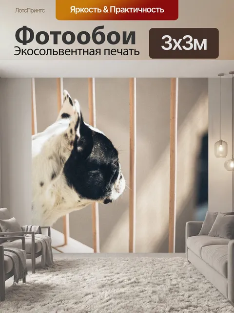 Фотообои Животные