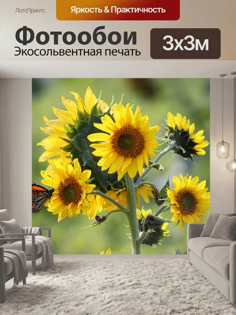 Фотообои бабочка