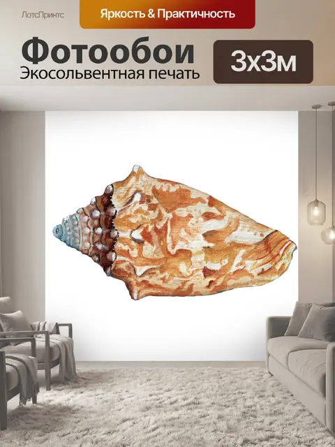Фотообои Морская ракушка клипарт винтажное искусс