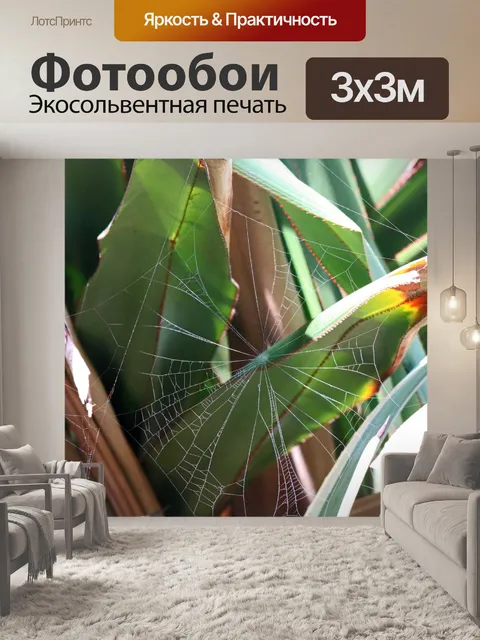 Фотообои паутина между листьями