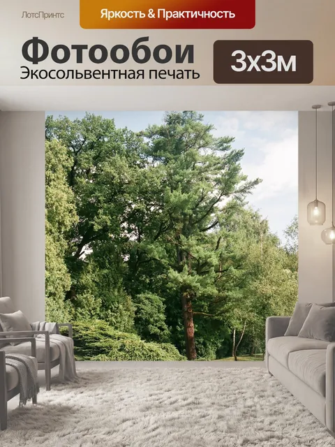 Фотообои Старое дерево