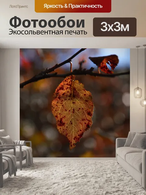 Фотообои Осень