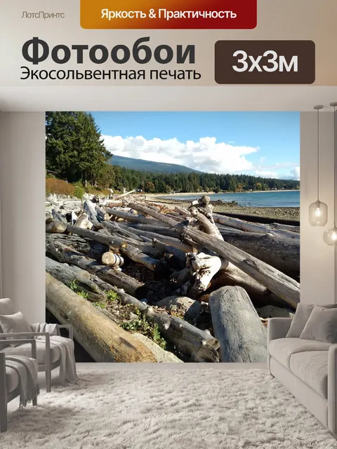 Фотообои Стволы деревьев